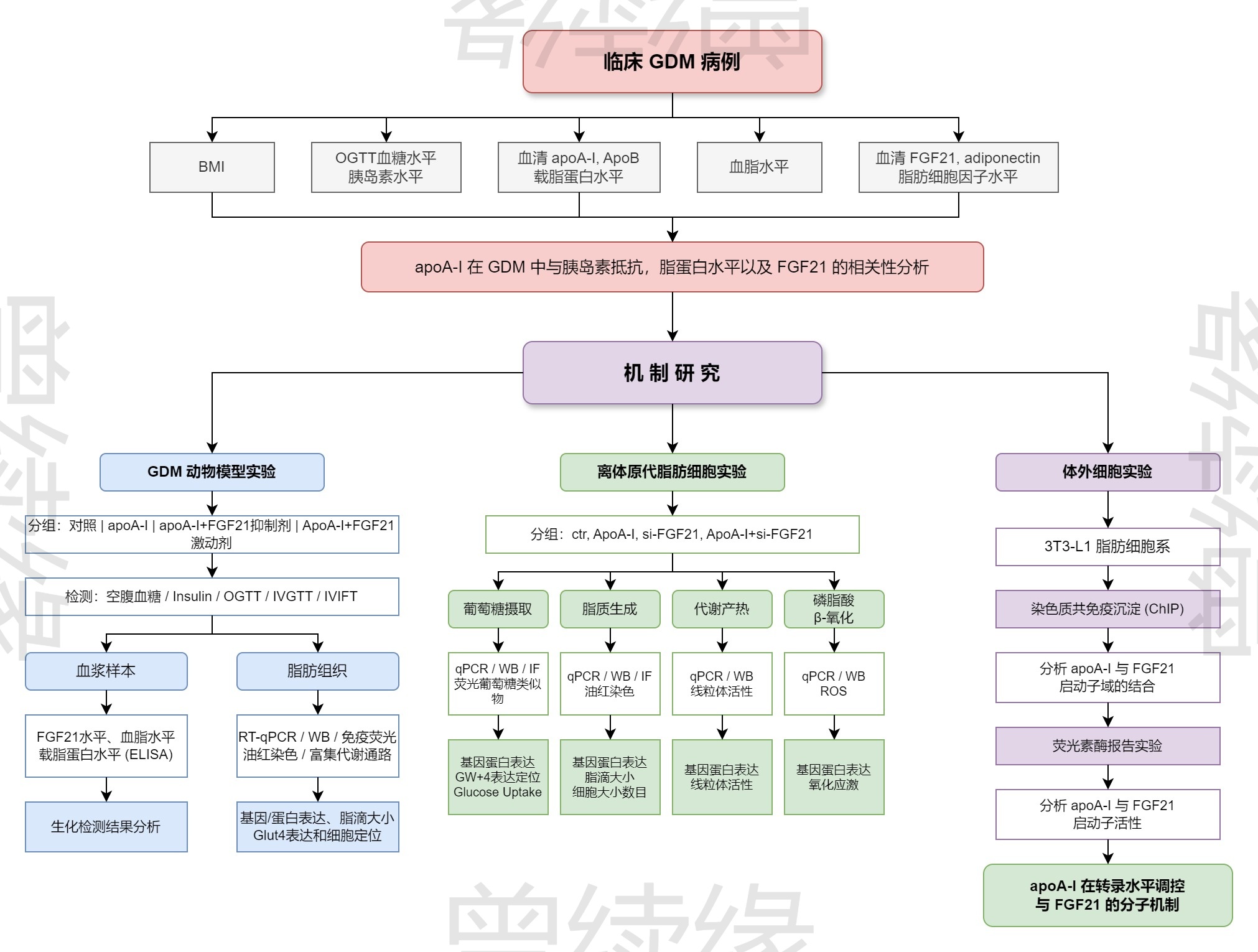 从临床观察到分子机制的转化医学研究流程图