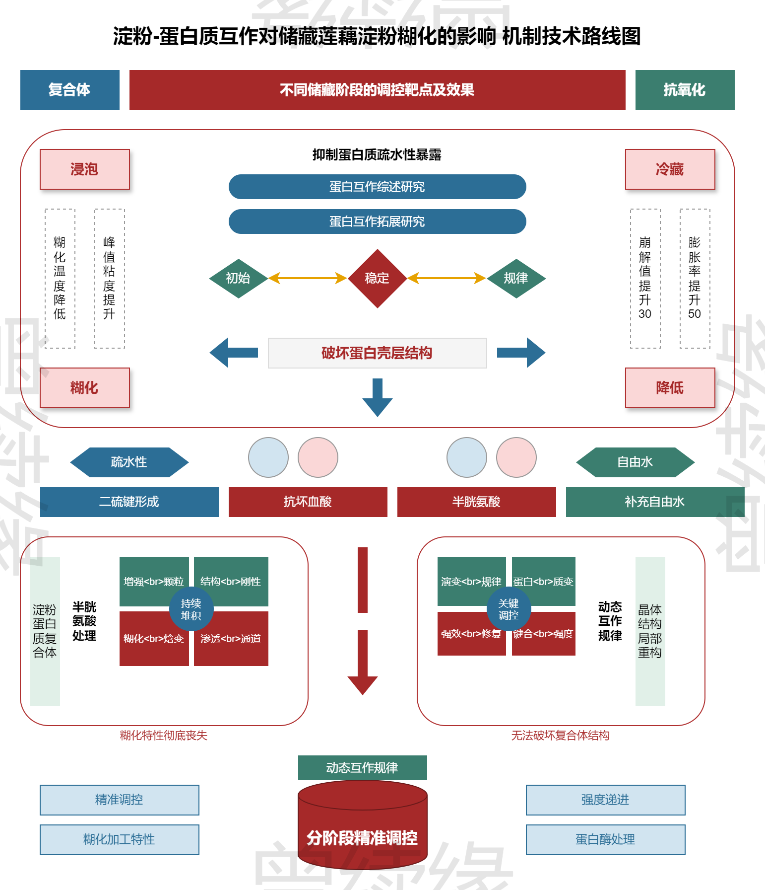 淀粉-蛋白质互作机制技术路线图
